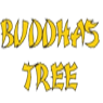 Buddhas Tree - Coco Nutrients