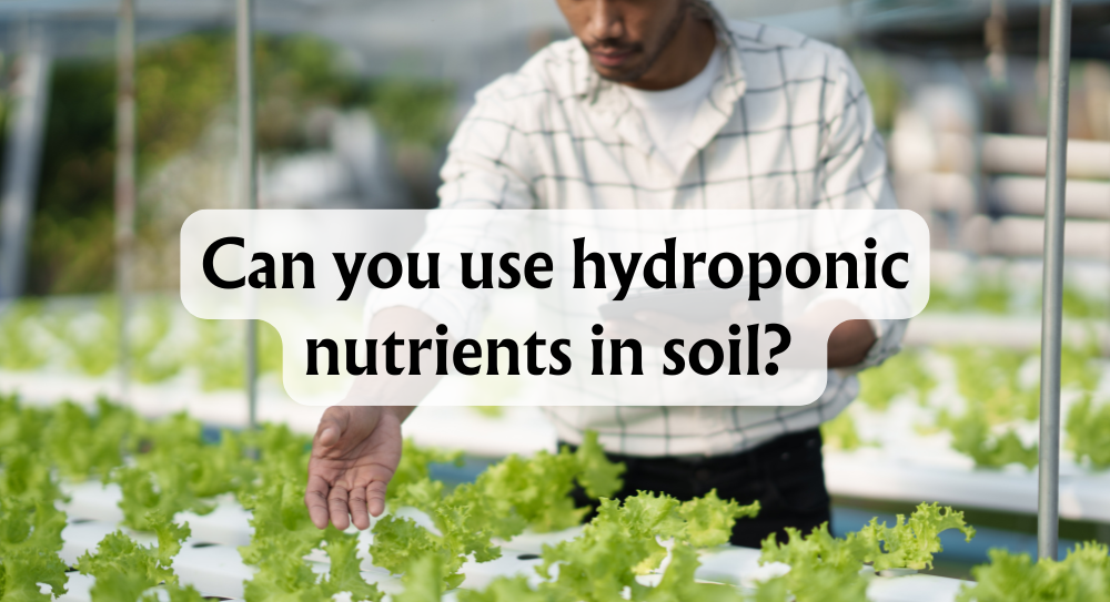 Can You Use Hydroponic Nutrients in Soil