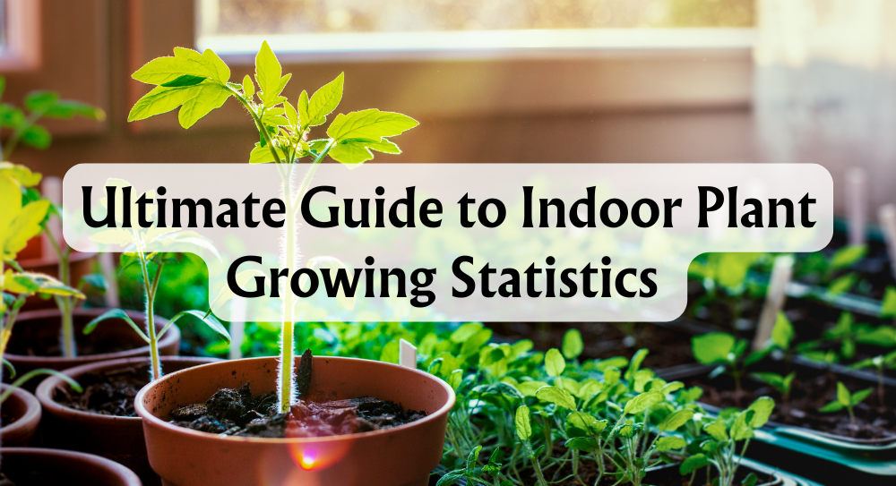 Ultimate Guide to Indoor Plant Growing Statistics