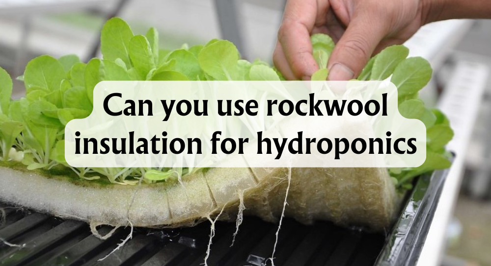 Can you use rockwool insulation for hydroponics