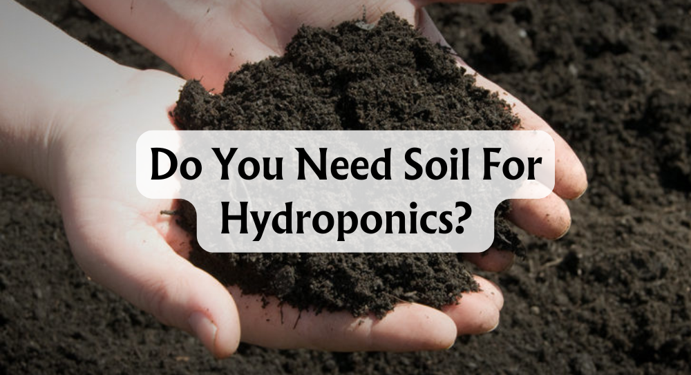 do-you-need-soil-for-hydroponics