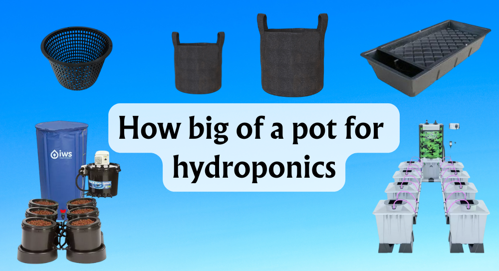 Choosing the Best Net Pot for Your Hydroponics System