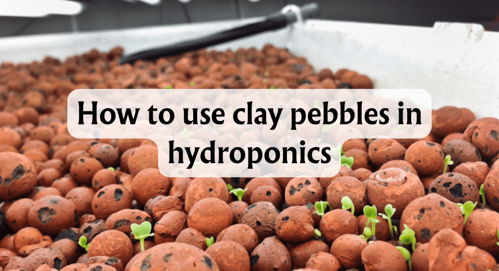 How to Use Clay Pebbles in Hydroponics