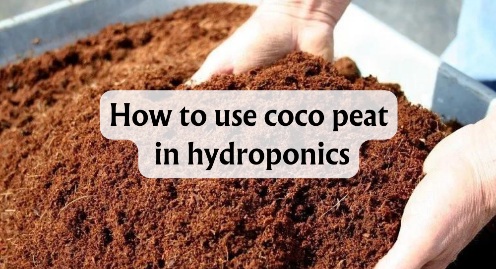 How to Use Coco Peat in Hydroponics: Tips for Perfect Growth