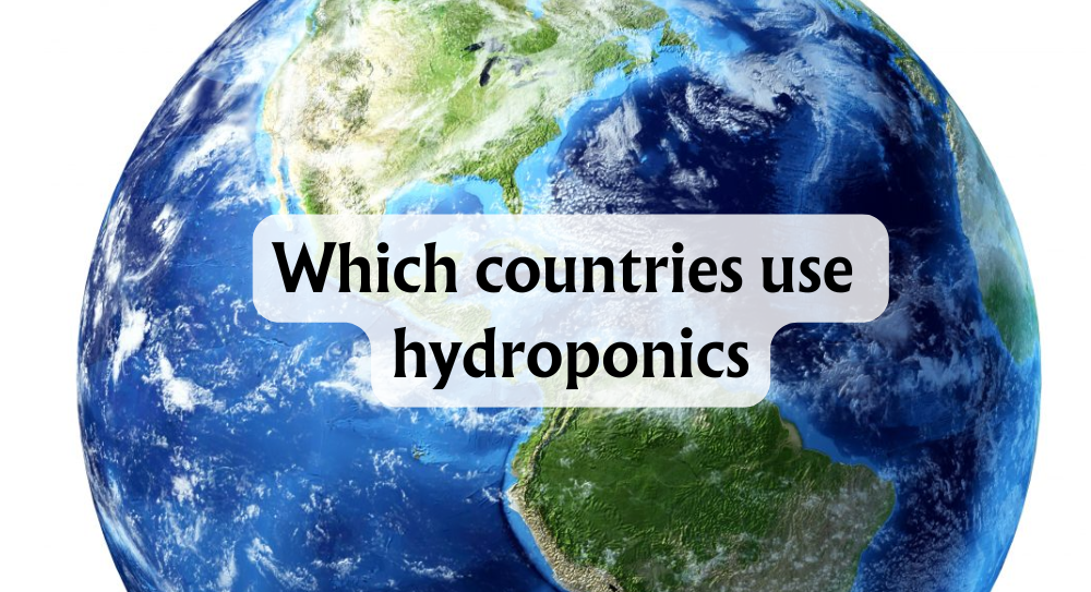 Which Countries Use Hydroponics