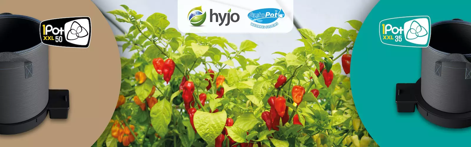 AutoPot XXL Systems