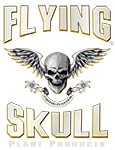 Flying Skull