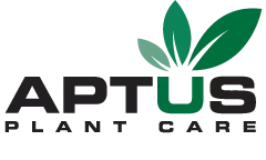 Aptus