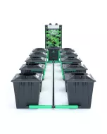 Alien RDWC 10 Pot 20L Black Series Bundle