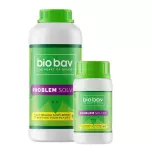 Bio Bav Problem Solver