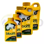 Bloom Euro A+B
