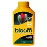 Bloom Phat