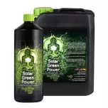 Buddhas Tree Solar Green Power