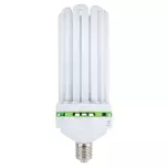 CFL (Compact Flourescent Lamp)