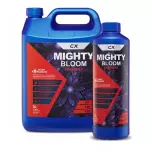 CX Mighty Bloom