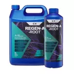 CX Regen A Root