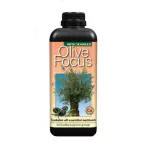 GT Olive Focus 300ml