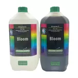 Hydrotops Coco Bloom A+B