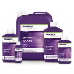 Plagron Power Roots