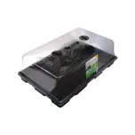 Rootit Large Propagator