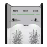 Sanlight EVO LED Bundle 1.2 x 1.2m Tent