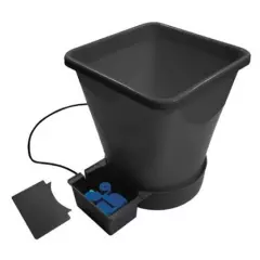 AutoPot 1Pot XL Module (only)