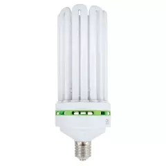 CFL (Compact Flourescent Lamp)