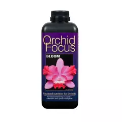 GT Orchid Focus Bloom 300ml