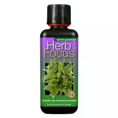 GT Herb Focus 300ml