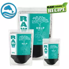 RAW Kelp