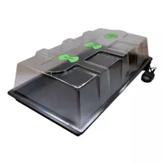 Xstream Large Scale Heated Propagator