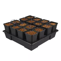 XXL Wilma Systems 115 x 115cm