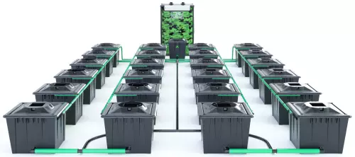 Alien RDWC 24 Pot 36L Black Series Bundle