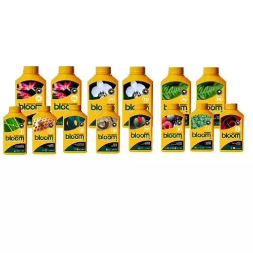 Bloom Intermediate Package Hydro