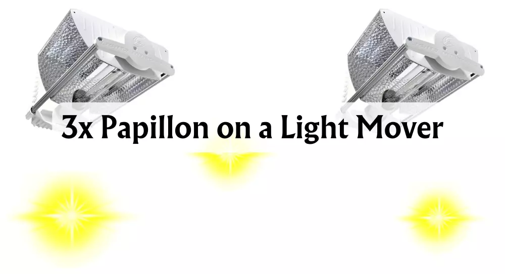 3-x-Papillon-on-a-Light-Mover