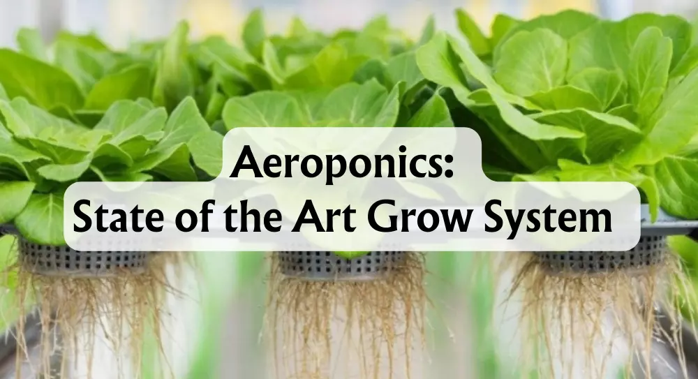 Aeroponics-State-of-the-Art-Grow-System