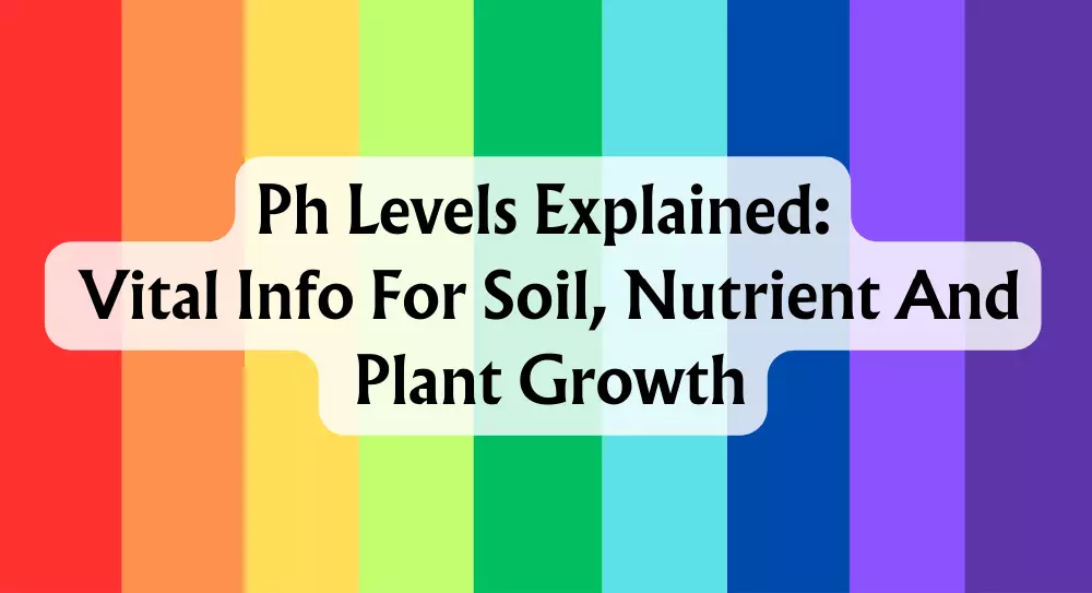 ph-levels-explained-vital-info-for-soil-nutrient-and-plant-growth