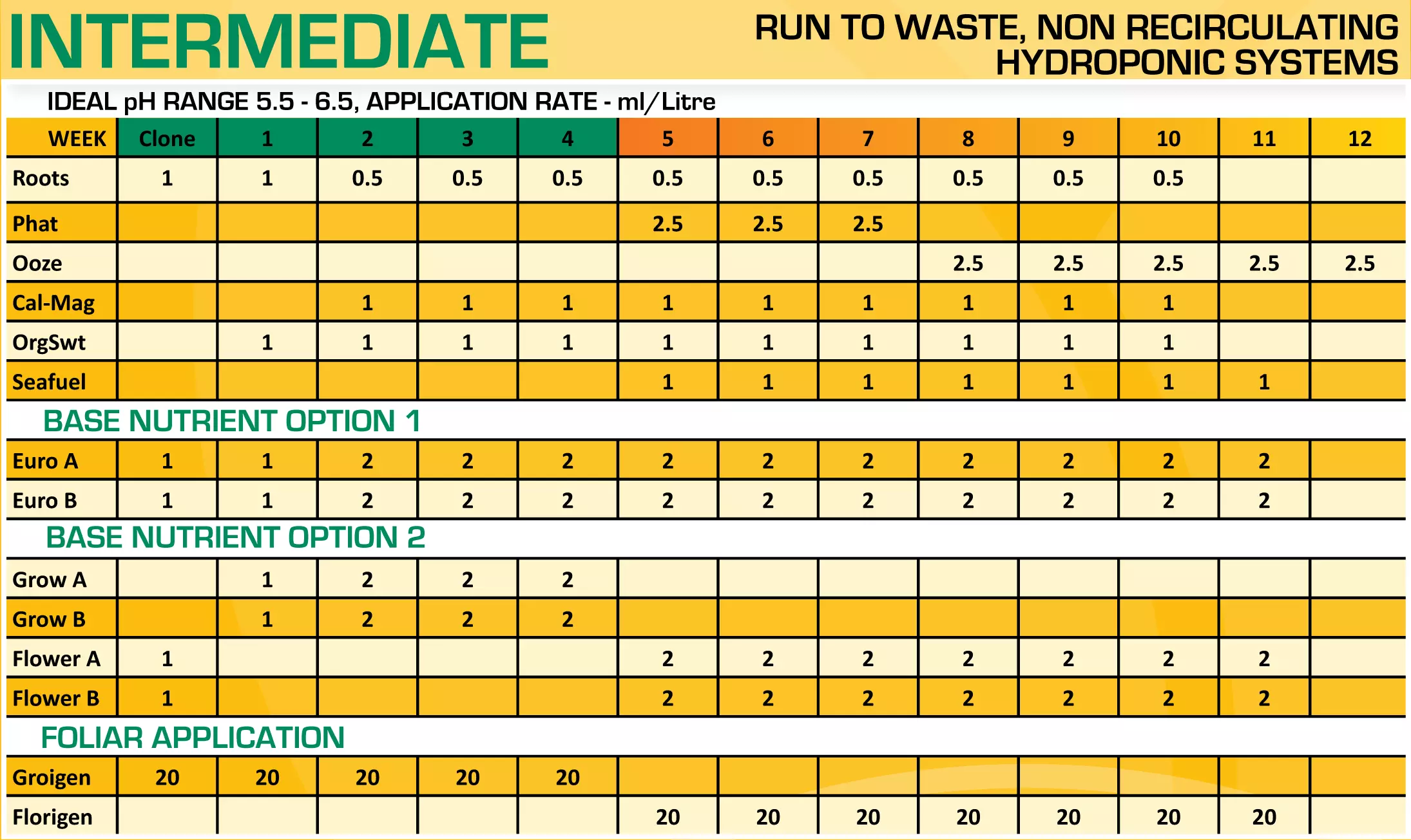 bloom feeding chart coco intermediate 