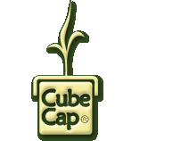 Cube Cap