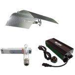 600W HID Lighting Kit