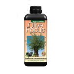 GT Olive Focus 300ml