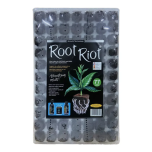 Root Riot 77 Cubes