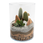 Terrarium Lucille – Medium
