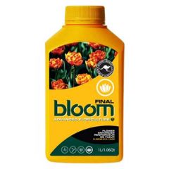 Bloom Final