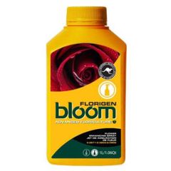 Bloom Florigen