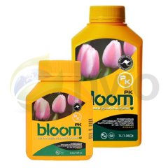 Bloom PK 