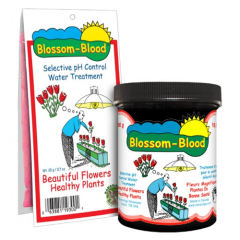 Blossom Blood Group