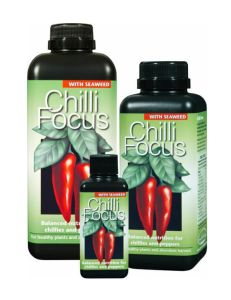 GT Chilli Focus With Seaweed