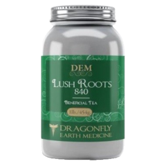 Dragonfly Earth Medicine Lush Roots 840