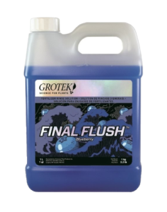 Final Flush 1L Blueberry